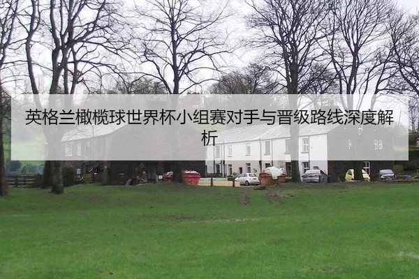 ying-ge-lan-gan-lan-qiu-shi-jie-bei-xiao-zu-sai-dui-shou-yu-jin-ji-lu-xian-shen-du-jie-xi-3-505.jpg
