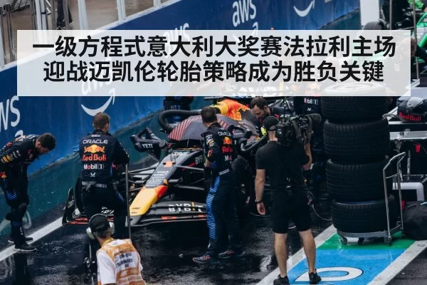 F1 pit stop tire change