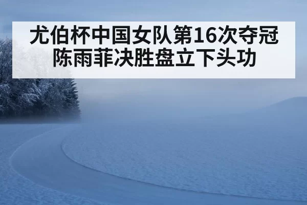 尤伯杯中国女队第16次夺冠陈雨菲决胜盘立下头功
